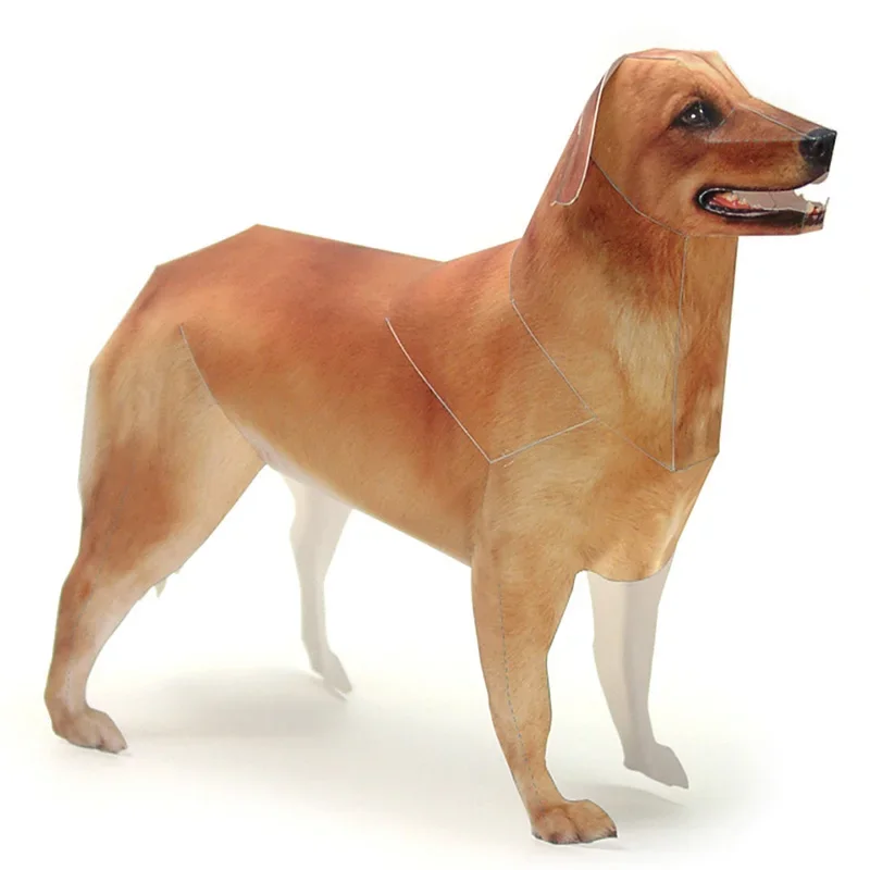 Kids Toys Dog - Golden Retriever Cane Modello di Carta