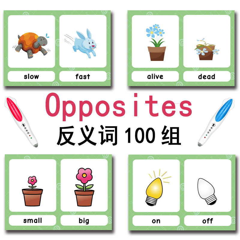 100 Gruppi di Carte Flash con  - Kids Toys Young recensione e prezzo