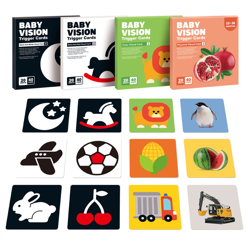 Giocattoli per l'educazione pr - Educational Flash Card recensione e prezzo